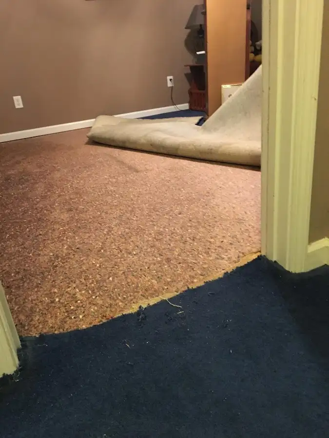 Carpet pad removal revealing water damage during Water Mitigation Services in Highlands Ranch